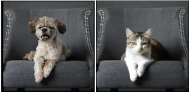 ai generated image from photo by Dall-E 2